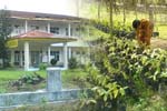 Non Regular School Program Nomor 9